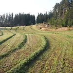 Buxbaum 度假居 *