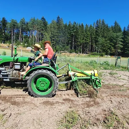 Buxbaum Prázdninový dům *