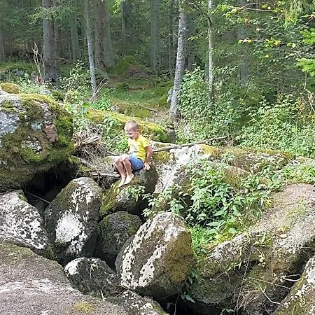 Buxbaum Hébergement de vacances
