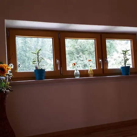 Prázdninový dům Buxbaum *