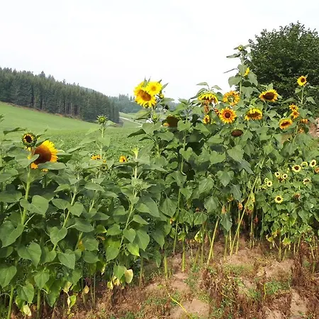 Prázdninový dům Buxbaum