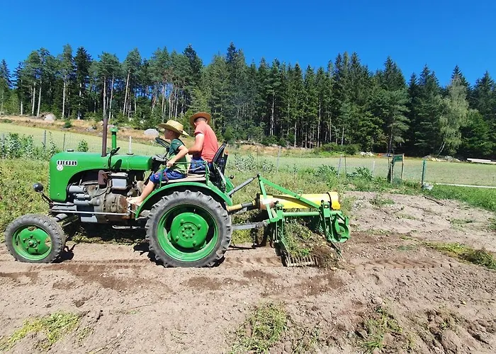 Buxbaum Casa de Férias *