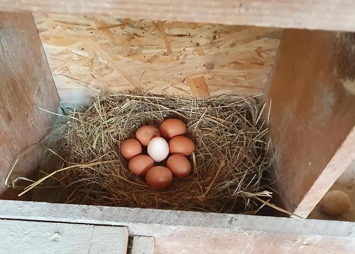 Buxbaum Casa de Férias