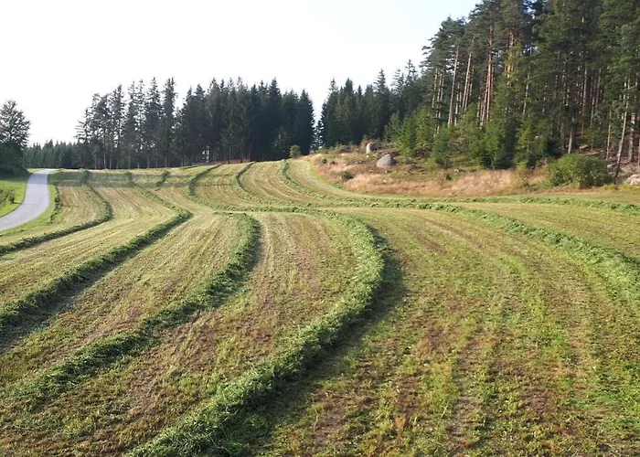 Buxbaum بيت للعطل *